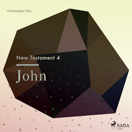 The New Testament 4 - John, Christopher Glyn