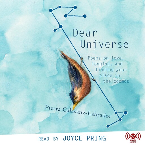 Dear Universe, Pierra Calasanz-Labrador