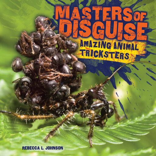 Masters of Disguise, Rebecca Johnson