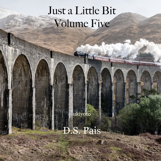 Just a Little Bit Volume Five, D.S. Pais