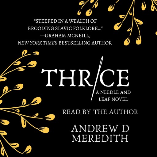 Thrice, Andrew Meredith