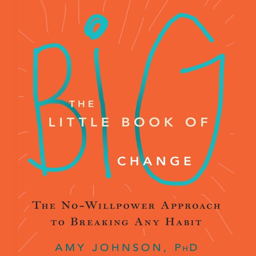 The Little Book of Big Change, Amy Johnson