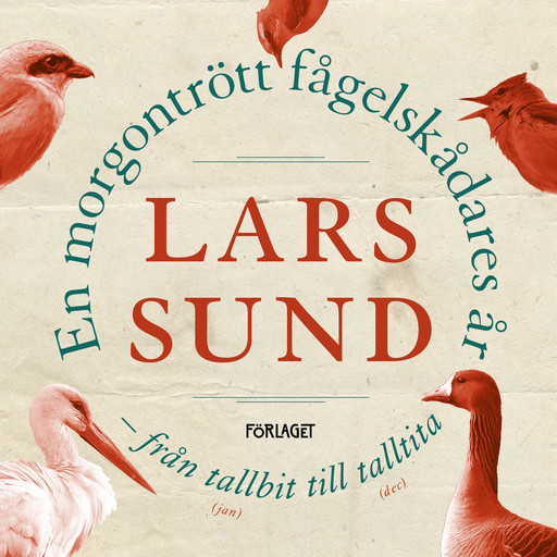 En morgontrött fågelskådares år, Lars Sund