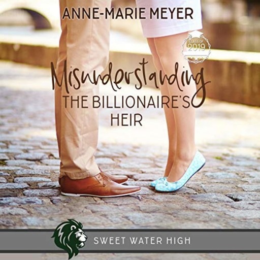 Misunderstanding the Billionaire's Heir, Anne-Marie Meyer