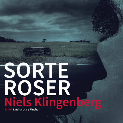 Sorte roser, Niels Klingenberg