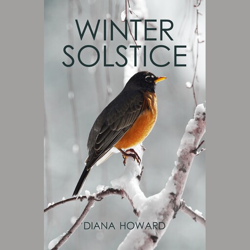 Winter Solstice, Diana Howard