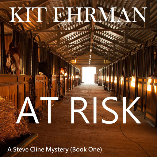 At Risk, Kit Ehrman