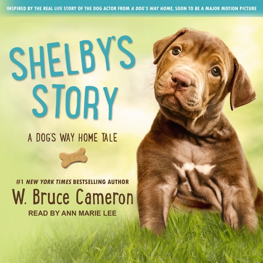 Shelby's Story, W.Bruce Cameron