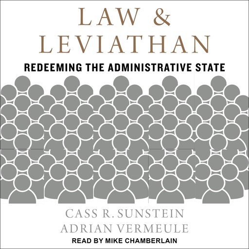 Law and Leviathan, Cass Sunstein, Adrian Vermeule