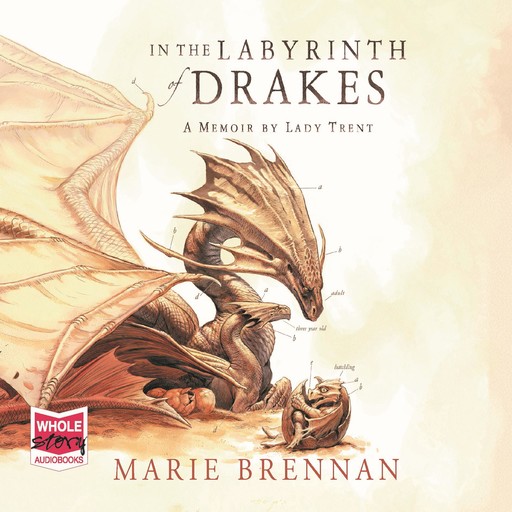 In the Labyrinth of Drakes, Marie Brennan