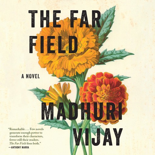 The Far Field, Madhuri Vijay