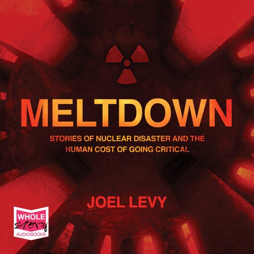 Meltdown, Joel Levy