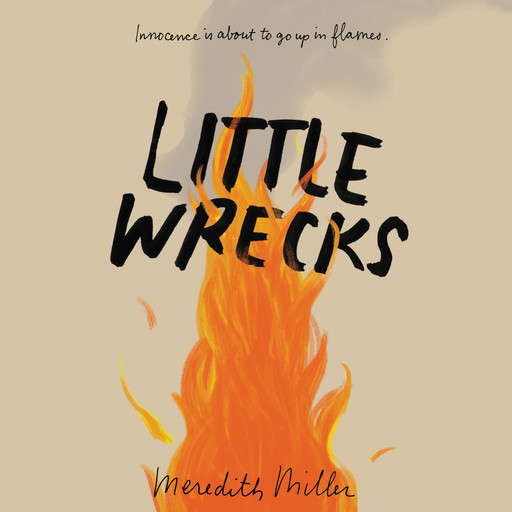 Little Wrecks, Meredith Miller