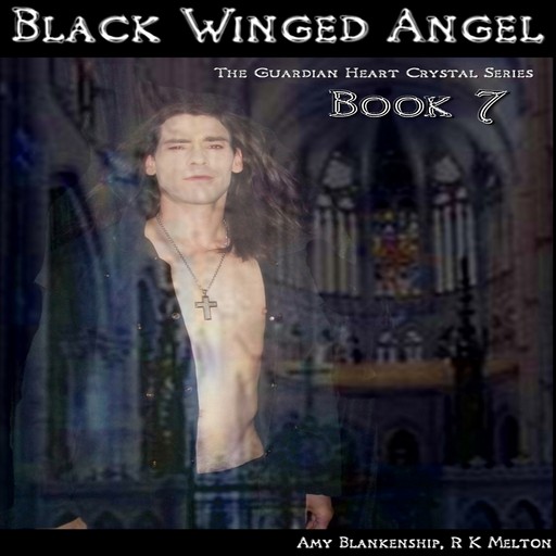 Black Winged Angel-The Guardian Heart Crystal Book 7, Amy Blankenship