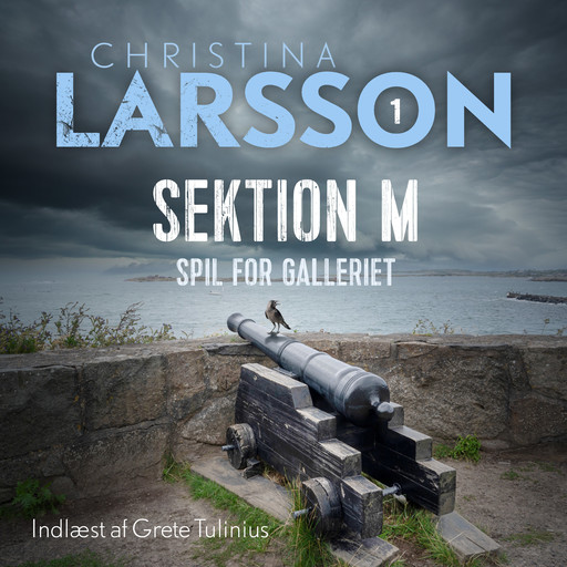 Sektion M - 1, Christina Larsson
