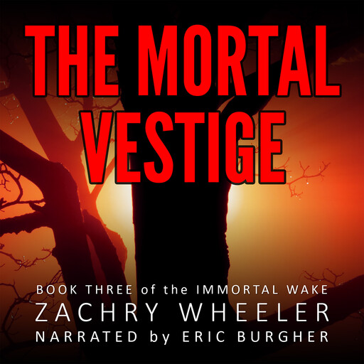 The Mortal Vestige: A Tech Noir Novel, Zachry Wheeler