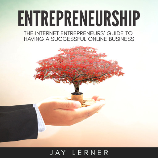 Entrepreneurship: The Internet Entrepreneurs’ Guide to Having a Successful Online Business, Jay Lerner