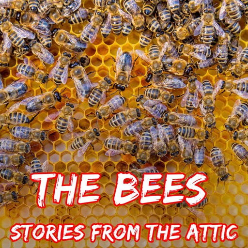 The Bees, Stories From The Attic
