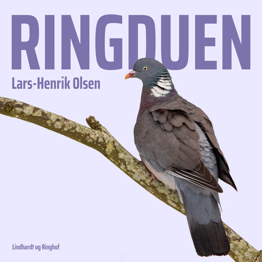 Ringduen, Lars-Henrik Olsen