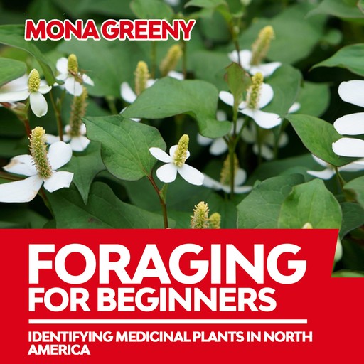 Foraging For Beginners, Mona Greeny