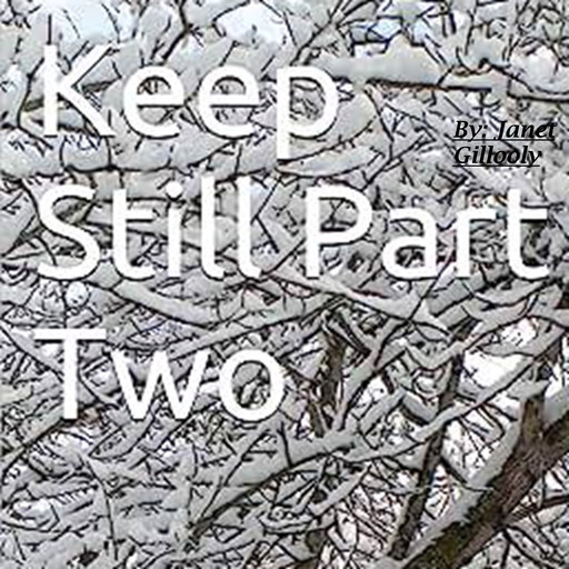 Keep Still Part Two, Janet Gillooly