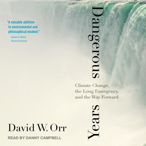 Dangerous Years, David Orr