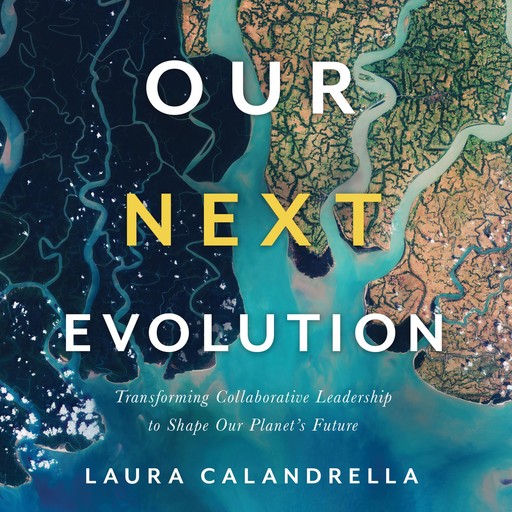 Our Next Evolution, Laura Calandrella