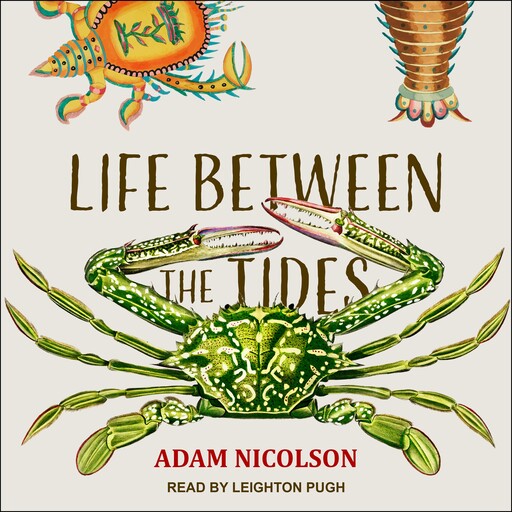 Life Between the Tides, Adam Nicolson