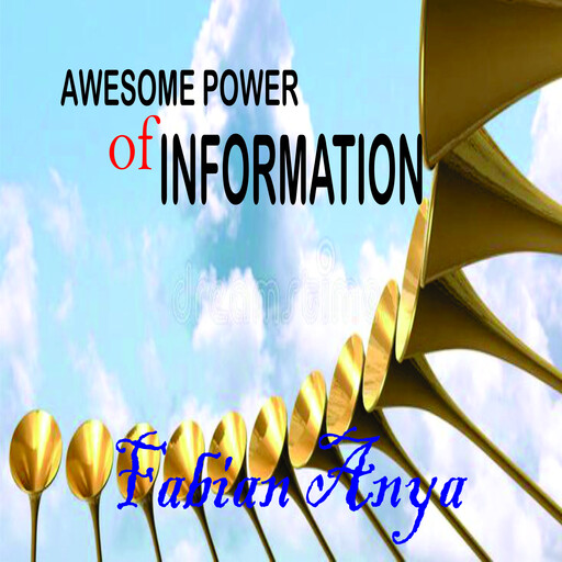 Awesome Power of Information, Fabian Anya