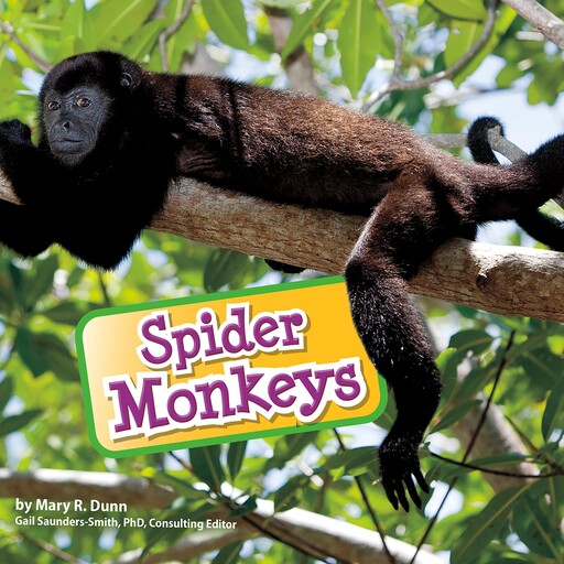 Spider Monkeys, Mary Dunn
