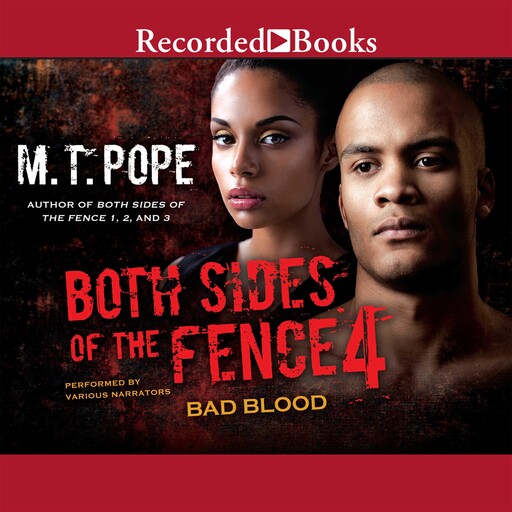 Both Sides of the Fence 4, M.T. Pope