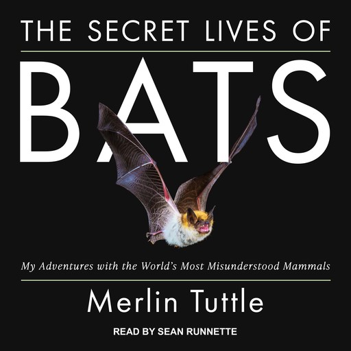 The Secret Lives of Bats, Merlin Tuttle