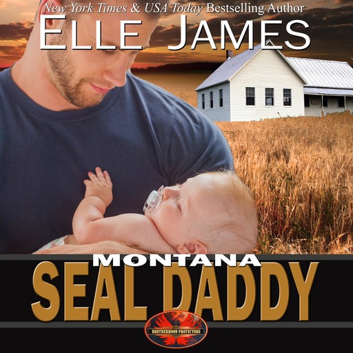 Montana SEAL Daddy, Elle James