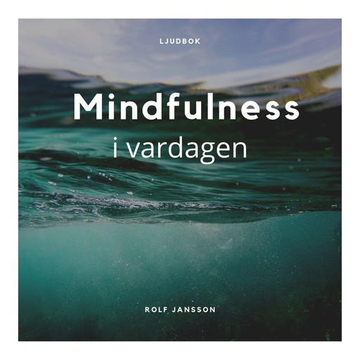 Mindfulness i vardagen, Rolf Jansson