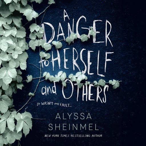 A Danger to Herself and Others, Alyssa Sheinmel