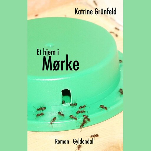 Et hjem i Mørke, Katrine Grünfeld