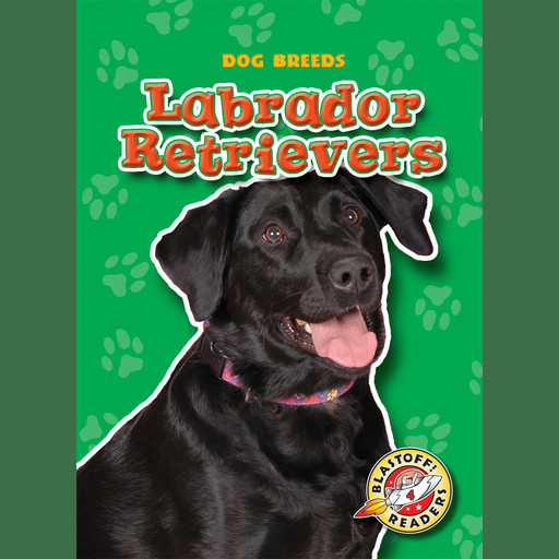 Labrador Retrievers, Mari Schuh
