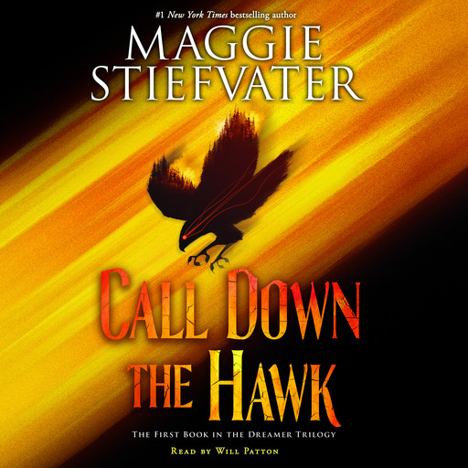 Call Down the Hawk (The Dreamer Trilogy, Book 1), Maggie Stiefvater