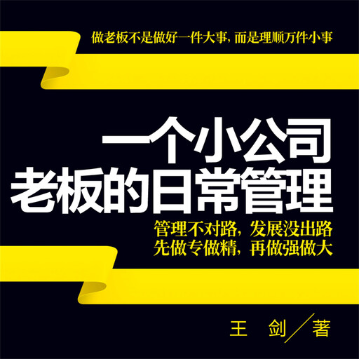 一个小公司老板的日常管理, 王剑