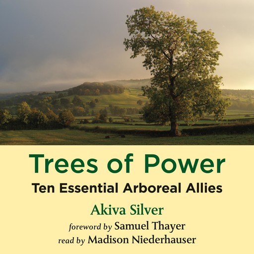 Trees of Power, Akiva Silver, Samuel Thayer