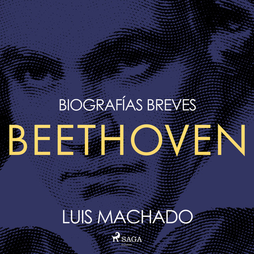 Biografías breves - Beethoven, Luis Machado