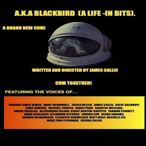 A.K.A Blackbird (A Life- in bits.), James Callis