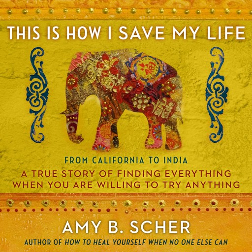 This Is How I Save My Life, Amy Scher