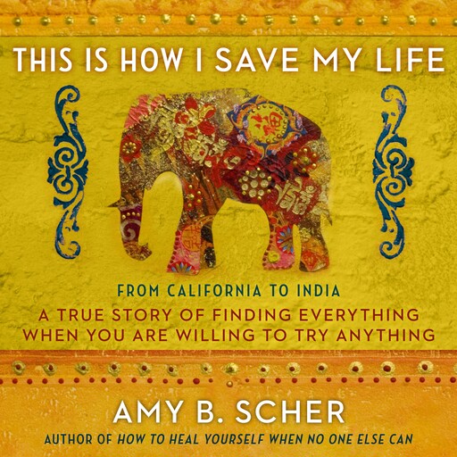 This Is How I Save My Life, Amy Scher