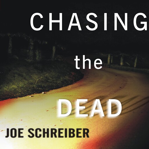 Chasing the Dead, Joe Schreiber