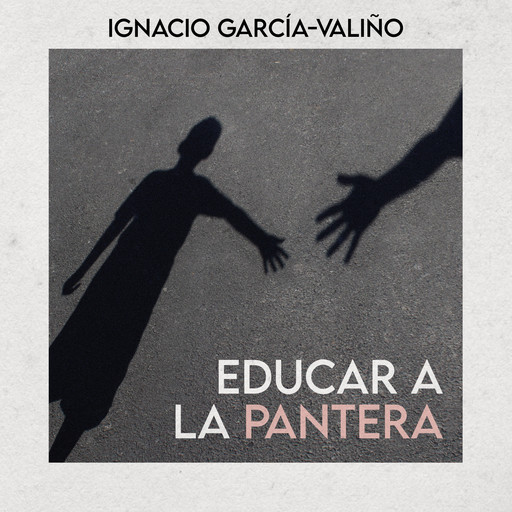 Educar a la pantera, Ignacio García-Valiño