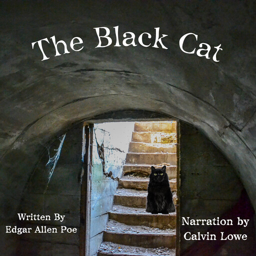 The Black Cat, Edgar Poe