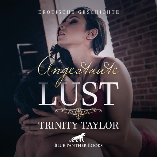 Angestaute Lust / Erotik Audio Story / Erotisches Hörbuch, Trinity Taylor