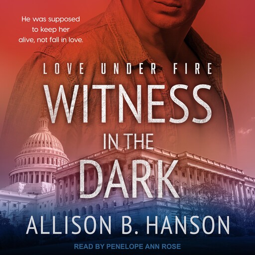 Witness in the Dark, Allison B. Hanson