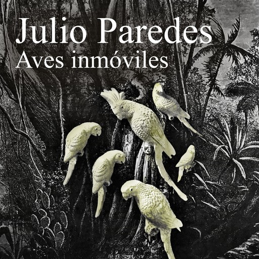 Aves inmóviles, Julio Paredes